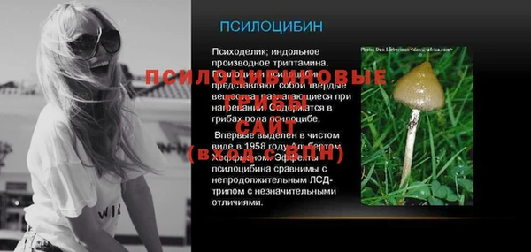 шишки Мегион