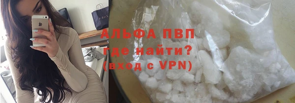 шишки Мегион