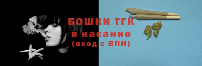 шишки Мегион