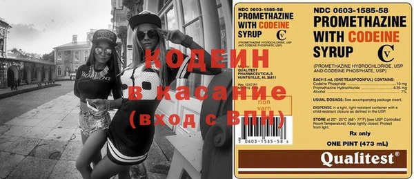 шишки Мегион