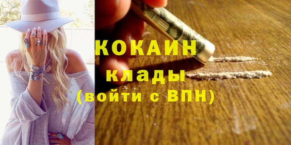 гашик Медногорск