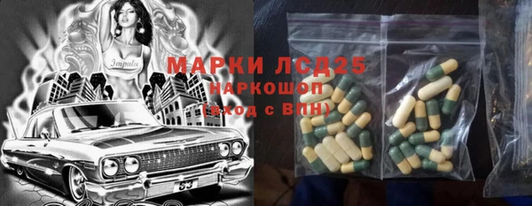 гашик Медногорск