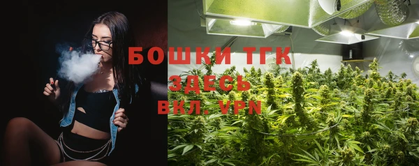 шишки Мегион
