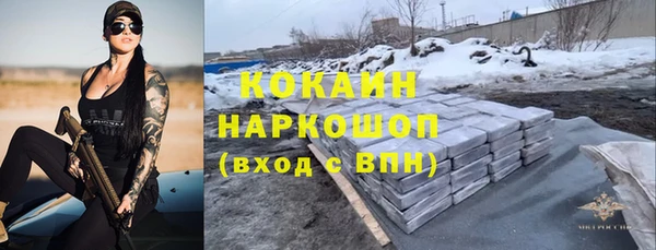 шишки Мегион