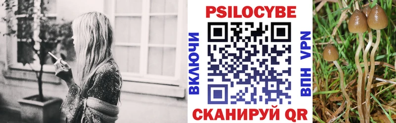 Псилоцибиновые грибы прущие грибы Отрадное